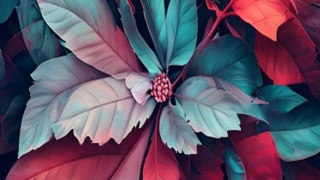 Elevate Your Space with Stunning Aesthetic Wallpapers | arena99 pkv, real casino slots games for fre