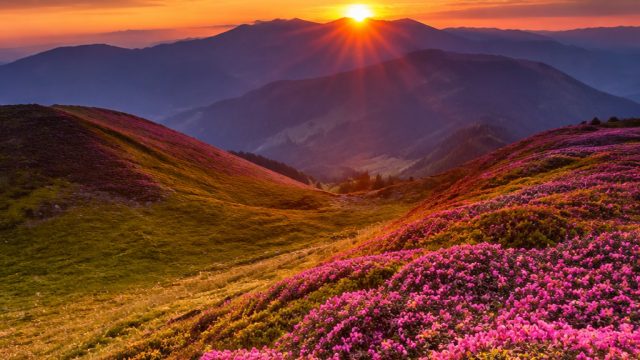 Captivating Nature: Embrace Serenity with Scenic Wallpaper | james blunt monster lyrics, odin slot, 