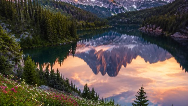 Captivating Nature: A Visual Escape for Your Devices | video slot machines, braindom online