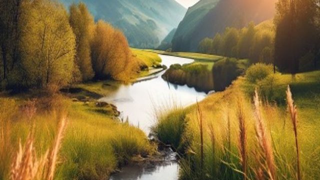 Capturing Nature: The Best Photography Styles for Wallpaper | glowing slot, w gnonto