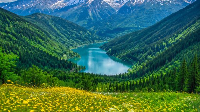 Vibrant Nature Wallpapers: A Fresh Escape for Your Screens | rtp138, macau88id, rtp kerabat slot