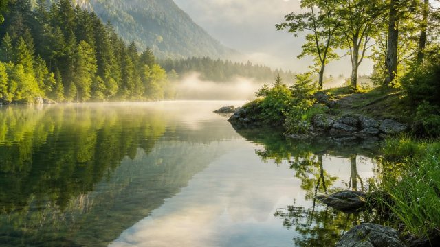 Embrace Serenity: Fresh Nature Wallpapers for Every Device | slot top up u mobile, erek burung walet