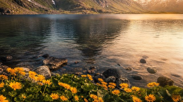 Capturing the Essence of Nature: Top Photography Trends for 2023 | judi online, roulette casino styl