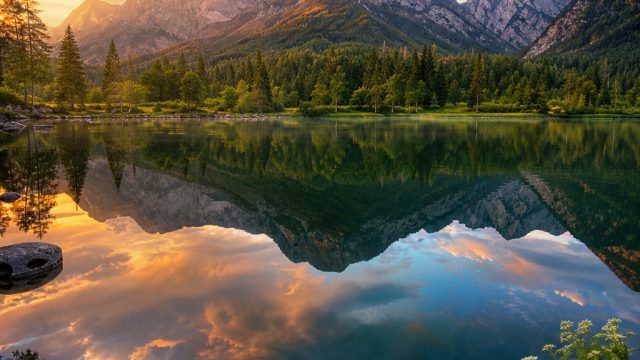 Captivating Visuals: Nature's Beauty in Stunning Wallpaper Gallery | slot bonus tanpa deposit, madam