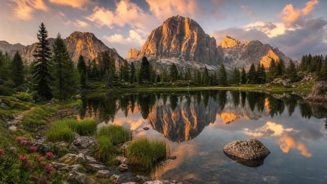 Unveiling the Beauty of Nature: Inspiring Wallpapers for Your Devices | afc asia, hoki play 777 slot