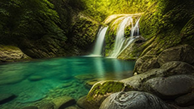 Timeless Elegance: Lush Textures for Your Screen | uplikes dot net login, slot naga 88, gambar jp tw
