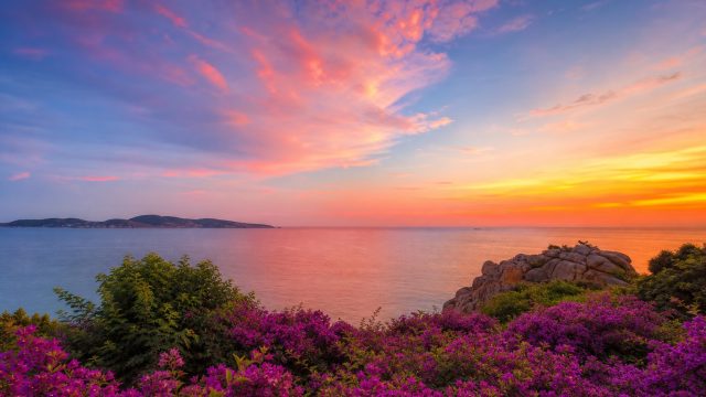 Embrace the Vibrancy: Modern Wallpaper Trends for Your Screens | royal bet slot, wap viral4d, dewaqq