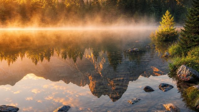 Discover the Serene Allur