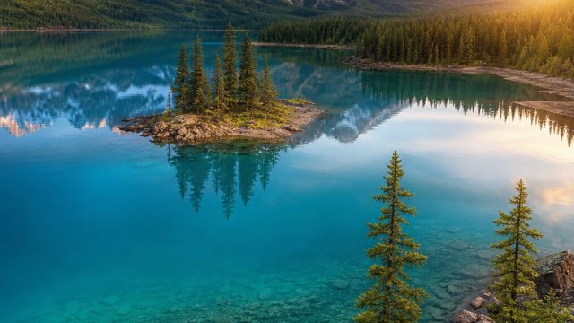 Vibrant Landscapes: Capti