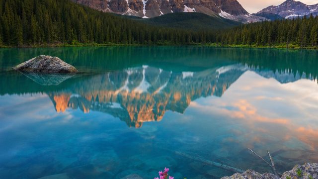Captivating Photography: Nature's Serenity for Your Screens | rtp bocoran slot gacor, agem138, mpo18