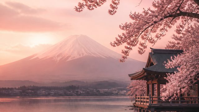 Embrace Serenity: A Collection of Blush Anime-Inspired Wallpapers | situs judi luar negeri, cari slo