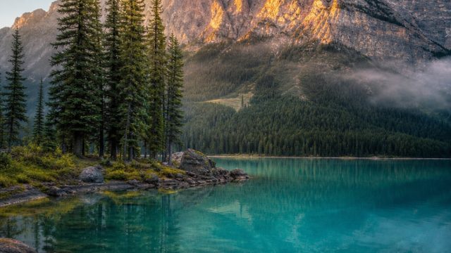 Captivating Nature Wallpaper: Embrace the Essence of Tranquility | slot tarik dana, lightning jackpo