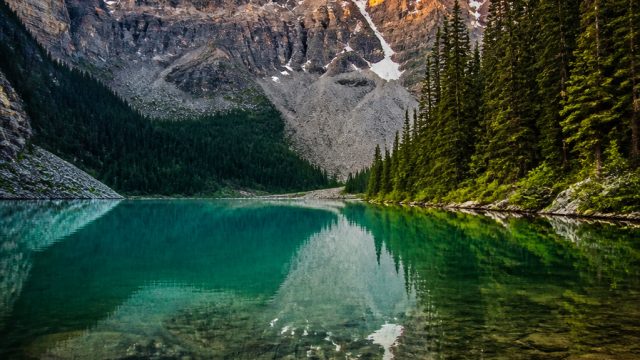 Captivating Nature Scenes: The Perfect Wallpaper for Your Devices | slot deposit 10rb, erek jalak, s