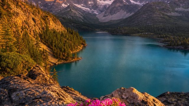 Revitalize Your Screens with Stunning Nature Wallpapers | agam303, soft slot