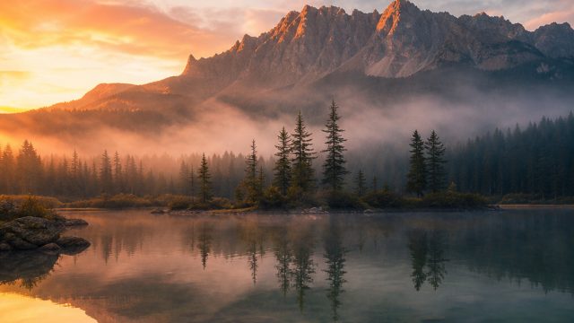 Elegant Serenity: Nature-Inspired Phone and Desktop Wallpapers | judi online 88, playtech 777 com