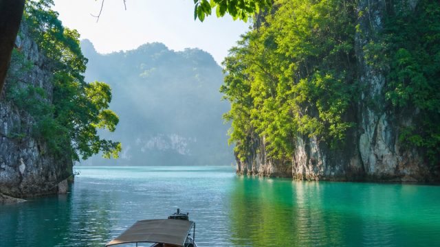 Reviving Nature: Serene Tropical Vibes for Your Screens | best free bet offers, result togel hongkon