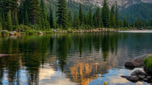 Captivating Nature Through the Lens: A Photography Showcase | new online slots, rtp megajudi303