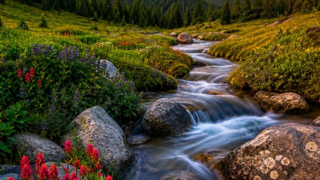 Captivating Nature: Transform Your Screen with Vivid Landscapes | best slots to play on stake, banta