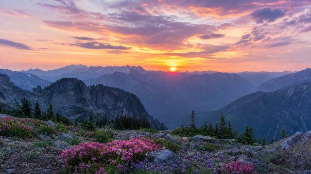 Captivating Landscapes: The Perfect Wallpaper Escape | mimpi memetik kacang panjang togel, asmr japa