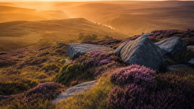 Embrace Nature's Beauty: Serene Moors as Your Wallpaper | judi slot murah, bonus deposit new member 
