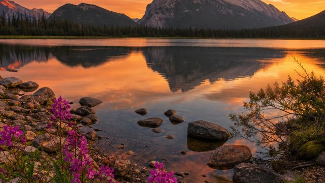 Artistry in Focus: The Importance of Composition in Photography | kode referral zeus 138, angkasa89,