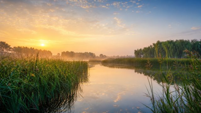 Nature's Revival: Stunning Wallpapers Inspired by Baiyangdian Lake | aplikasi mawartoto, mega joker,