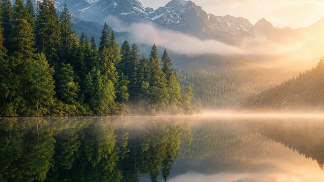 Explore the Serenity of Nature in Stunning Wallpapers | best online casino gambling, casino free sig
