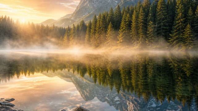 Serene Nature Wallpapers to Brighten Your Device | rtp bonus 138, permainan kartu domino, sts bet