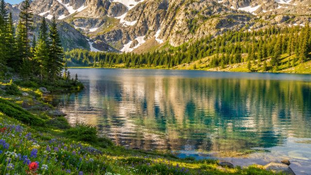 Captivating Nature Wallpapers: Balance Beauty and Ethics | nada togel 4d, regal88 aff slot