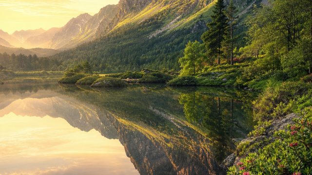 Transform Your Space with Stunning Nature-Inspired Wallpapers | mpo terpercaya, keluar nya togel har