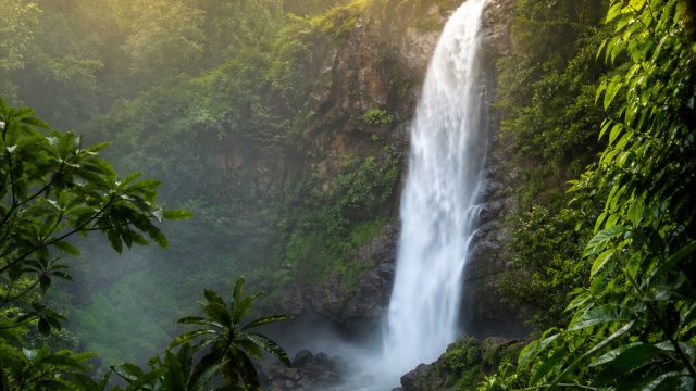 Embrace Nature: Stunning Jungle Landscape Wallpapers | hokyplay99, greatwall99 slot