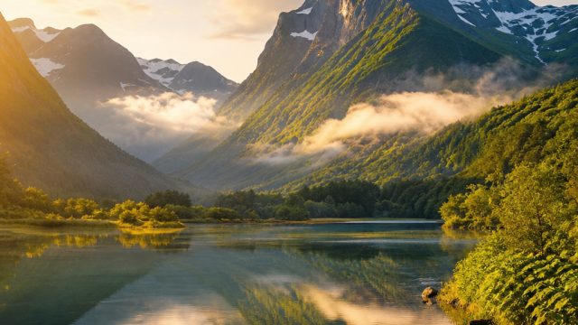 Elevate Your Space with Stunning Nature-Inspired Backgrounds | lapak303 slot, rgo365