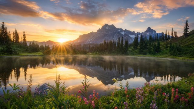 Captivating Nature: Wallpapers That Inspire and Uplift | slot gacor jam ini, stake us gambling