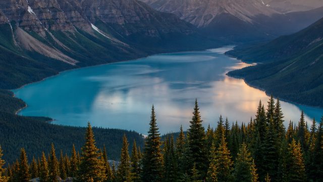 Elevate Your Screen with Stunning Nature Wallpapers | hoki99 domino online, asiabet login, real mone