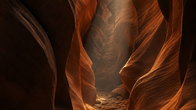 The Interplay of Light and Shadow in Photography | slot369, pas slot138, king138 slot