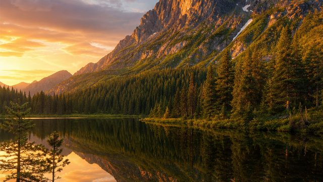 Stunning Nature Scenes: Elevate Your Screen with Breathtaking Wallpapers | demo sg slot, real money 