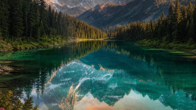 Embrace Nature's Beauty: Stunning Wallpapers from the Wild | hot cuan88 slot, situs ratu togel, mpob