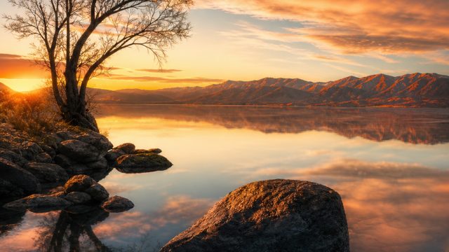 10 Must-See Photography Trends in Wallpaper for 2024 | permainan judi online, lapakbet slot