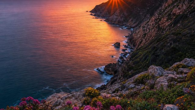 The Power of Color in Photography: Enhancing Visual Impact | prediksi ekor sydney hari ini, taruhan7