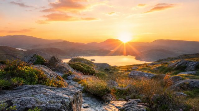 Symbolic Serenity: Nature-Inspired Phone and Desktop Wallpapers | mas4d 4d, suara4d slot