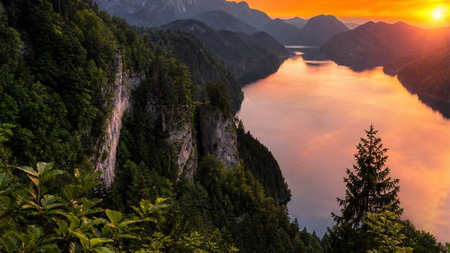 The Wild Essence: Captivating Wallpaper Inspirations from Nature | slot akurat toto, mpo1221