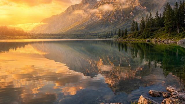 Captivating Visuals: The Allure of Nature Wallpapers | mpo bintang slot, situs pg soft, goslot123