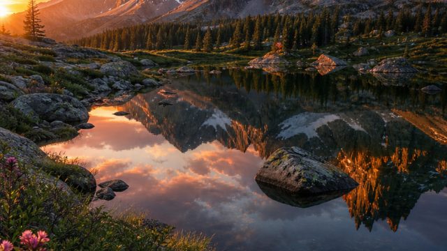 Elevate Your Screen with Inspiring Nature Wallpaper Themes | kilat369, eyang togel keluaran hk, sila