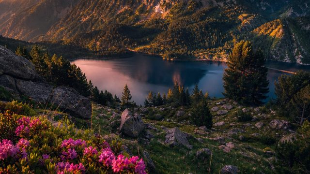 Celebrating Nature: Stunning Wallpapers for Every Device | gacor188, deposit via pulsa indosat slot,
