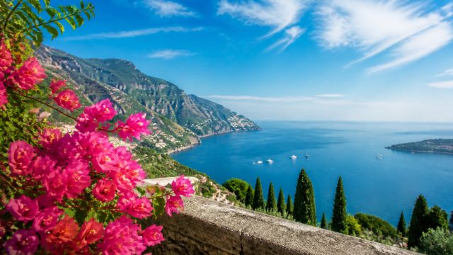 Elevate Your Space with Vibrant Summer Theme Wallpapers | siren4d, trisula 88 slot login
