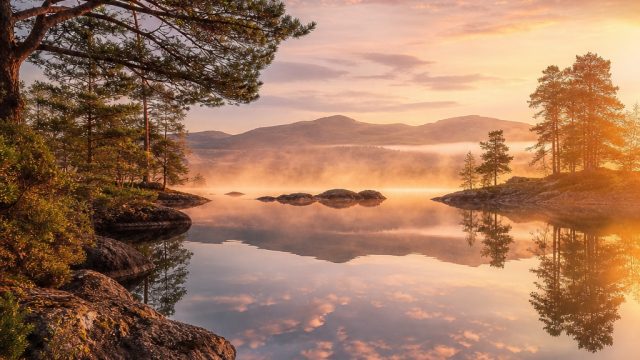 A Serene Escape: Captivating Wallpapers for Your Screens | slot gacor, sakura188 com