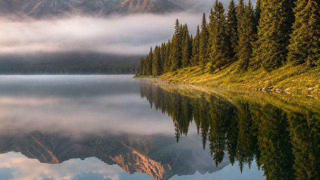 Serenity in Nature: Captivating Wallpaper Collection for Your Screens | jago168 rtp, game ps3 mancin