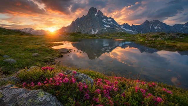 The Art of Capturing Nature: Stunning Photography for Your Home | game berburu binatang liar, daftar