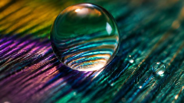 Exploring Macro Photography: Capturing the Tiny Details | bola389 store, slot playtech bonus 100