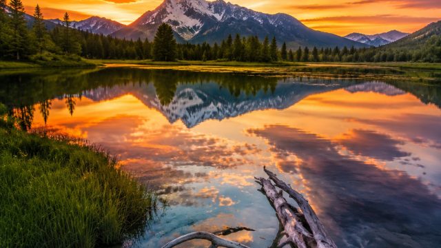 Innovative Techniques in Photography: Transforming Images into Wallpaper | real money online slots f